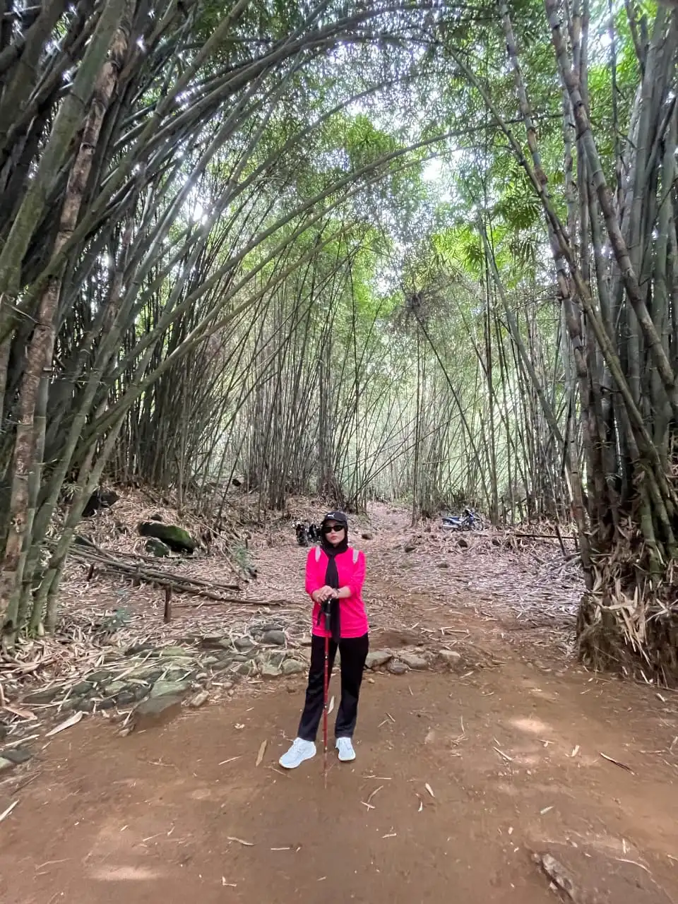 Para peserta mengagumi keindahan air terjun yang tinggi di tengah hutan lebat.